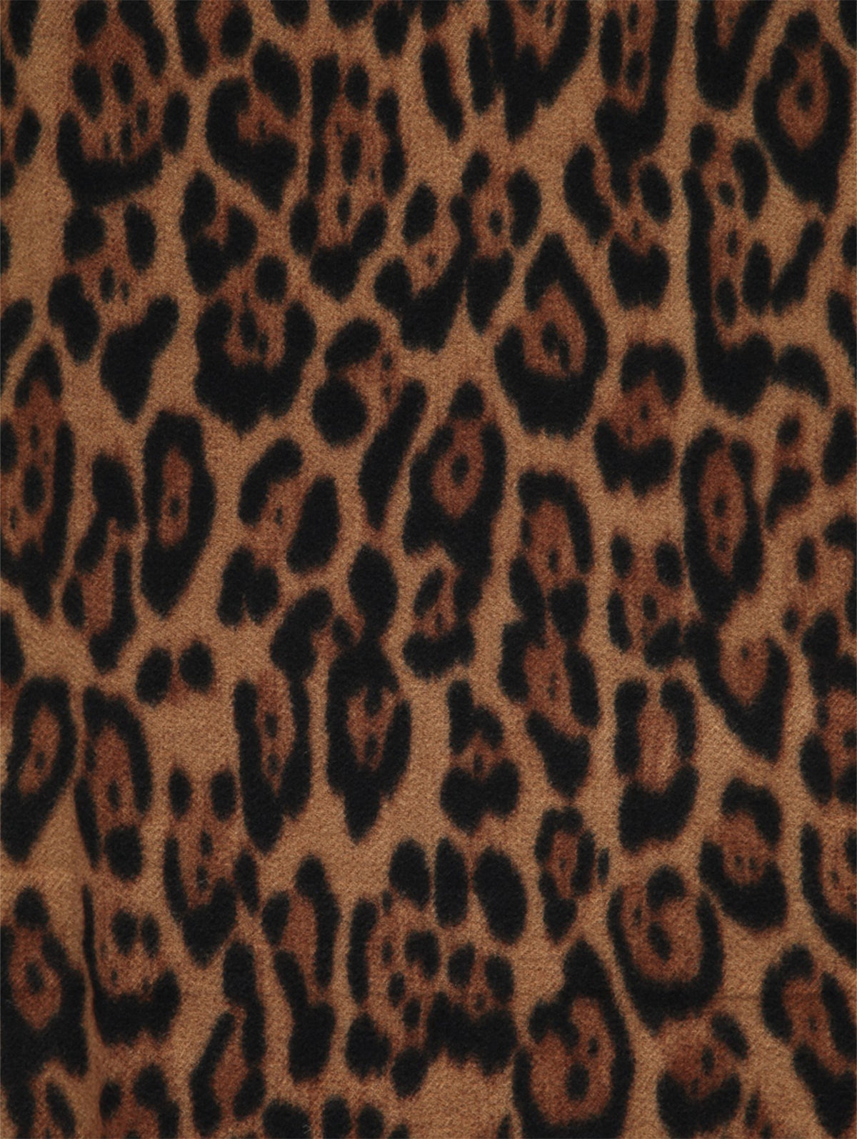 HAILY'S Schal Leo