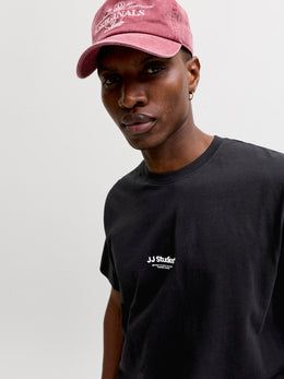 veron-media-871044