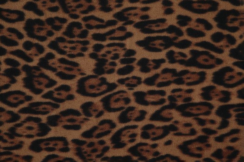 HAILY'S Schal Leo
