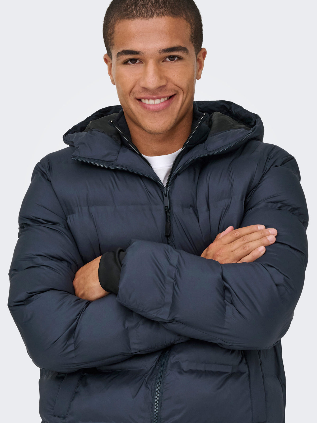 veron-media-3033389